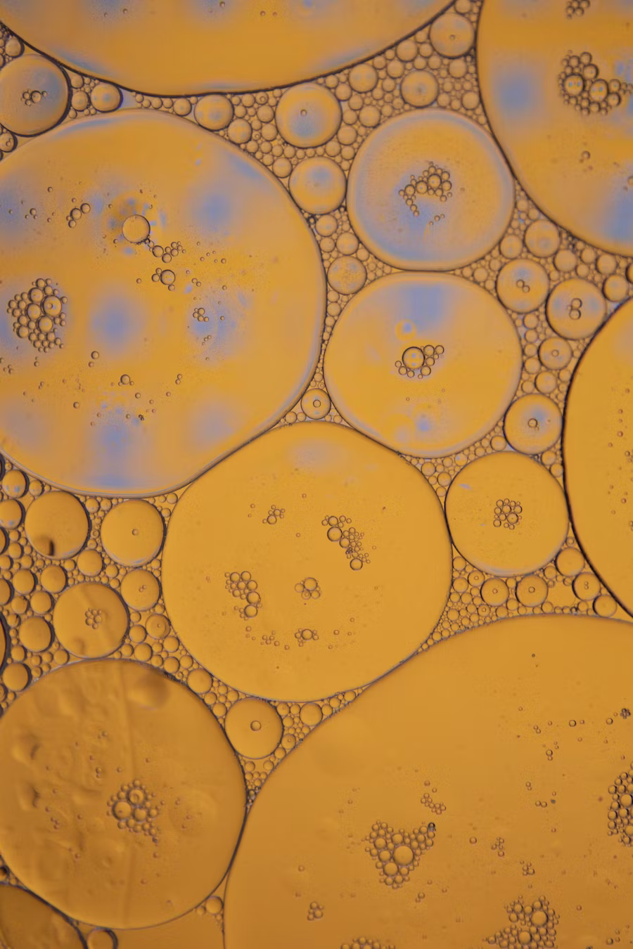Acide hyaluronique